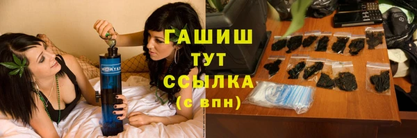 гидра Алексин