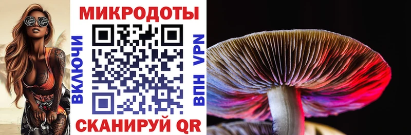 MEGA ссылка  Могоча  Псилоцибиновые грибы Cubensis 